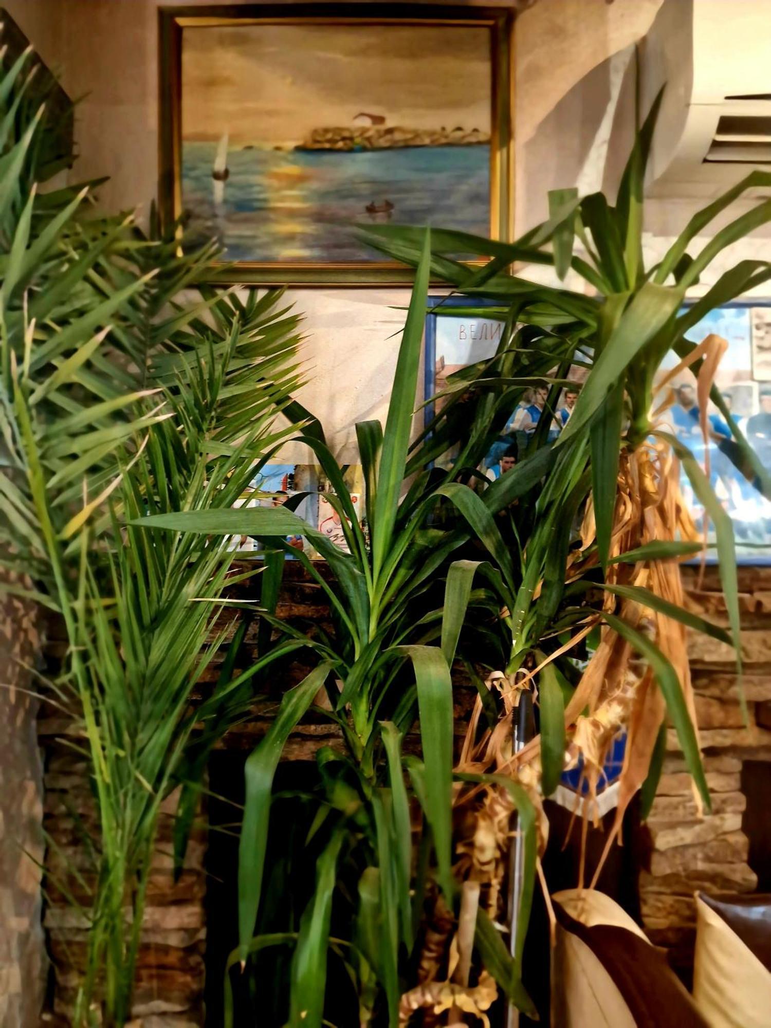 Family Hotel Four Seasons Tsarevo Bagian luar foto